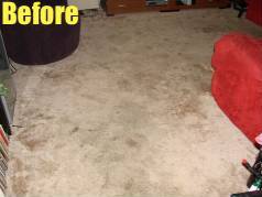 Carpet Cleaning Business Package