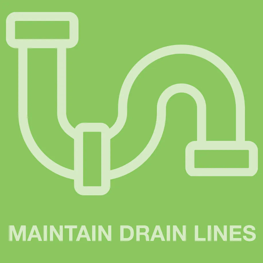 CleanZyme: Enzyme Cleaner, Spotter & Odor Remover - Gallon