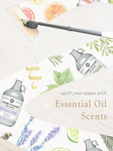 Floor Cleaner Concentrate | Rosemary, Mint & Tea Tree