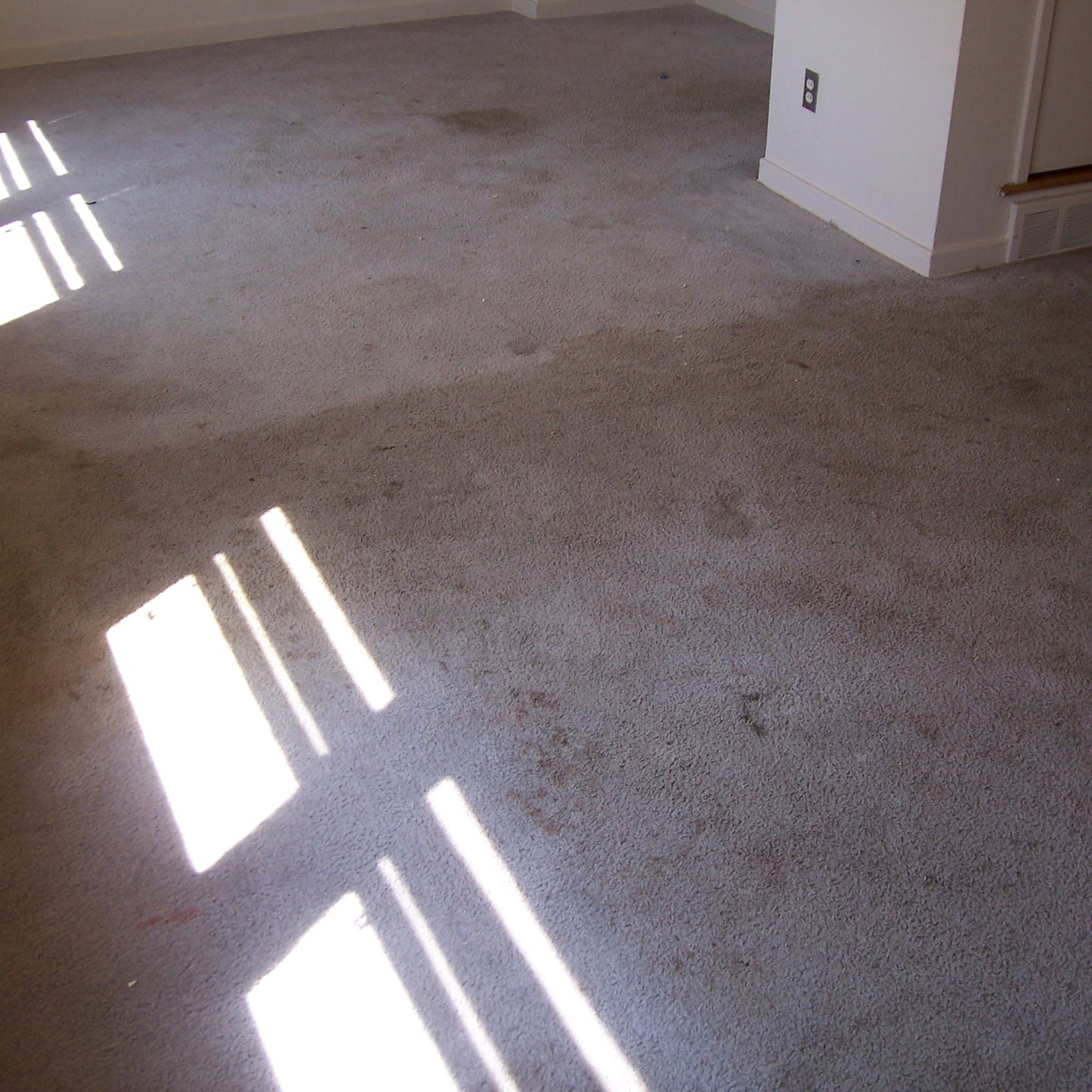 Carpet Cleaning Business Package
