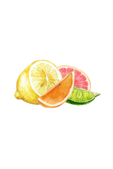 Floor Cleaner Concentrate | Lemon, Lime, Orange & Grapefruit