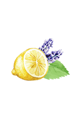 Floor Cleaner Concentrate | Lavender, Lemon & Mint